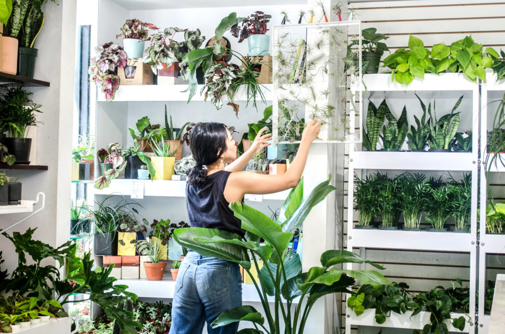 Woman in plant shop adjusting product in a display case